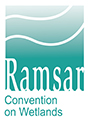 RamsaR