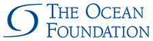 The Ocean foundation