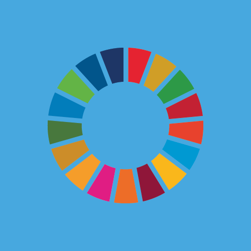 Sustainable development goal indicators