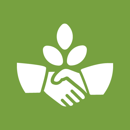 Responsible governance of tenure