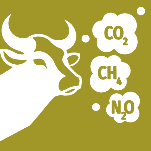 Carbon footprint and greenhouse gas emissions