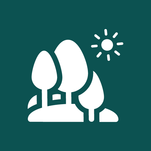 Forests and landscape restoration