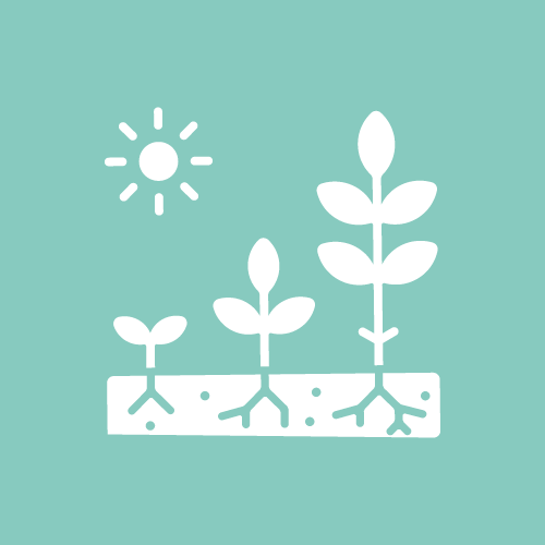 Plant production, pre-breeding and crop improvement