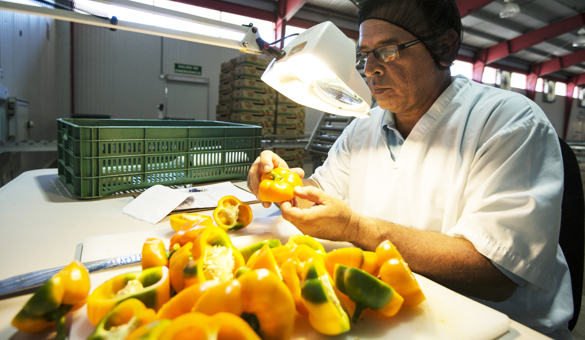 COLEAD. 2022. Pest risk analysis (PRA).