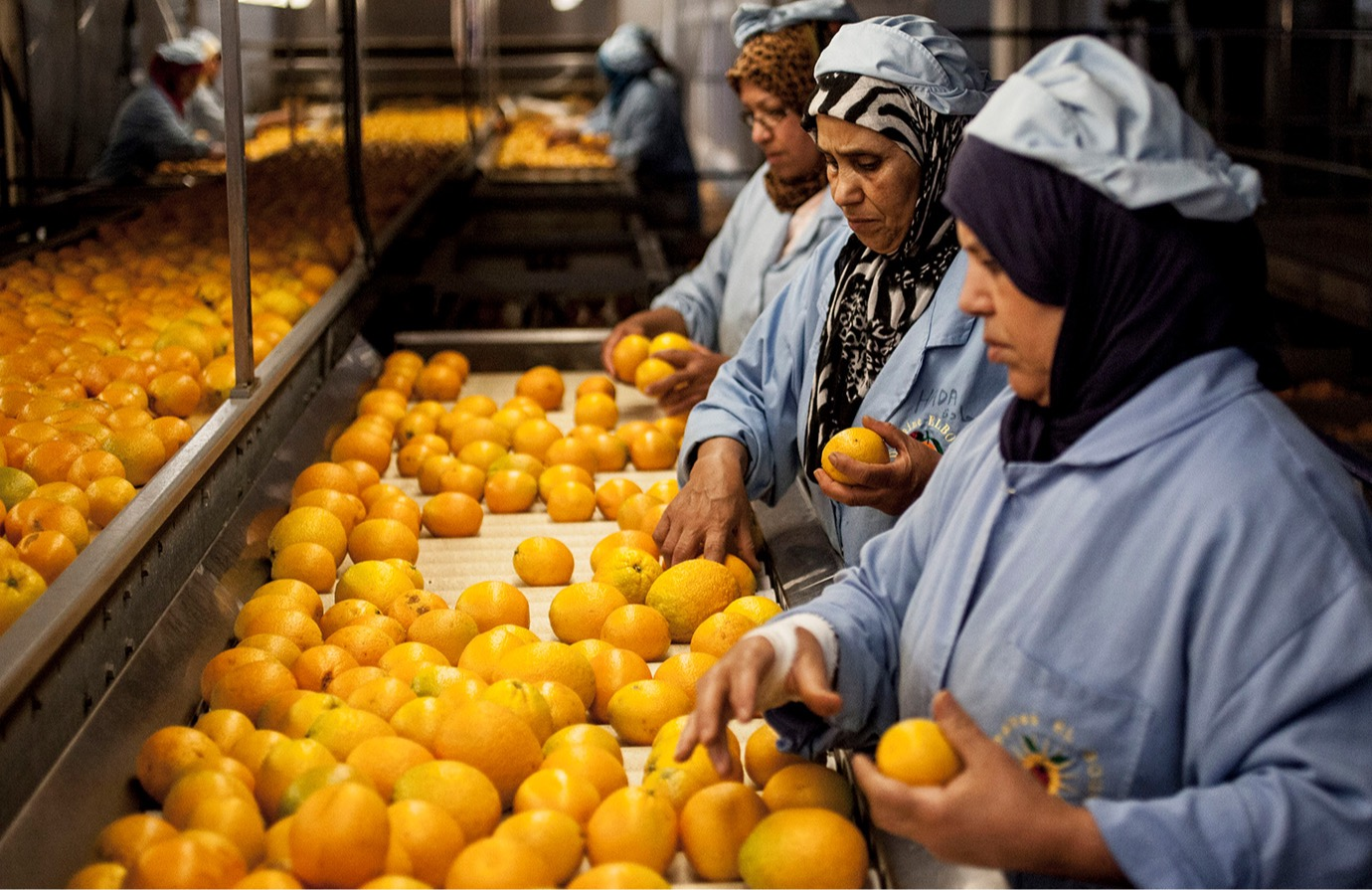 IPPC Secretariat. 2025. Conducting a phytosanitary capacity evaluation (PCE).