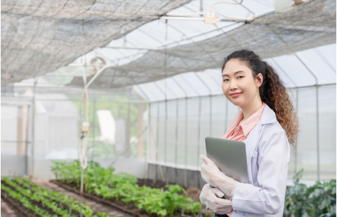 IPPC Secretariat. 2024. Surveillance and pest status determination.