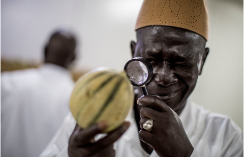 IPPC Secretariat. 2025. How an NPPO functions.