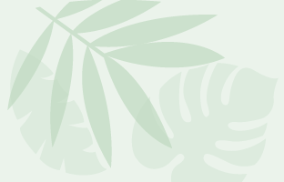 IPPC Secretariat (forthcoming). Online Emergency Preparedness Tool.