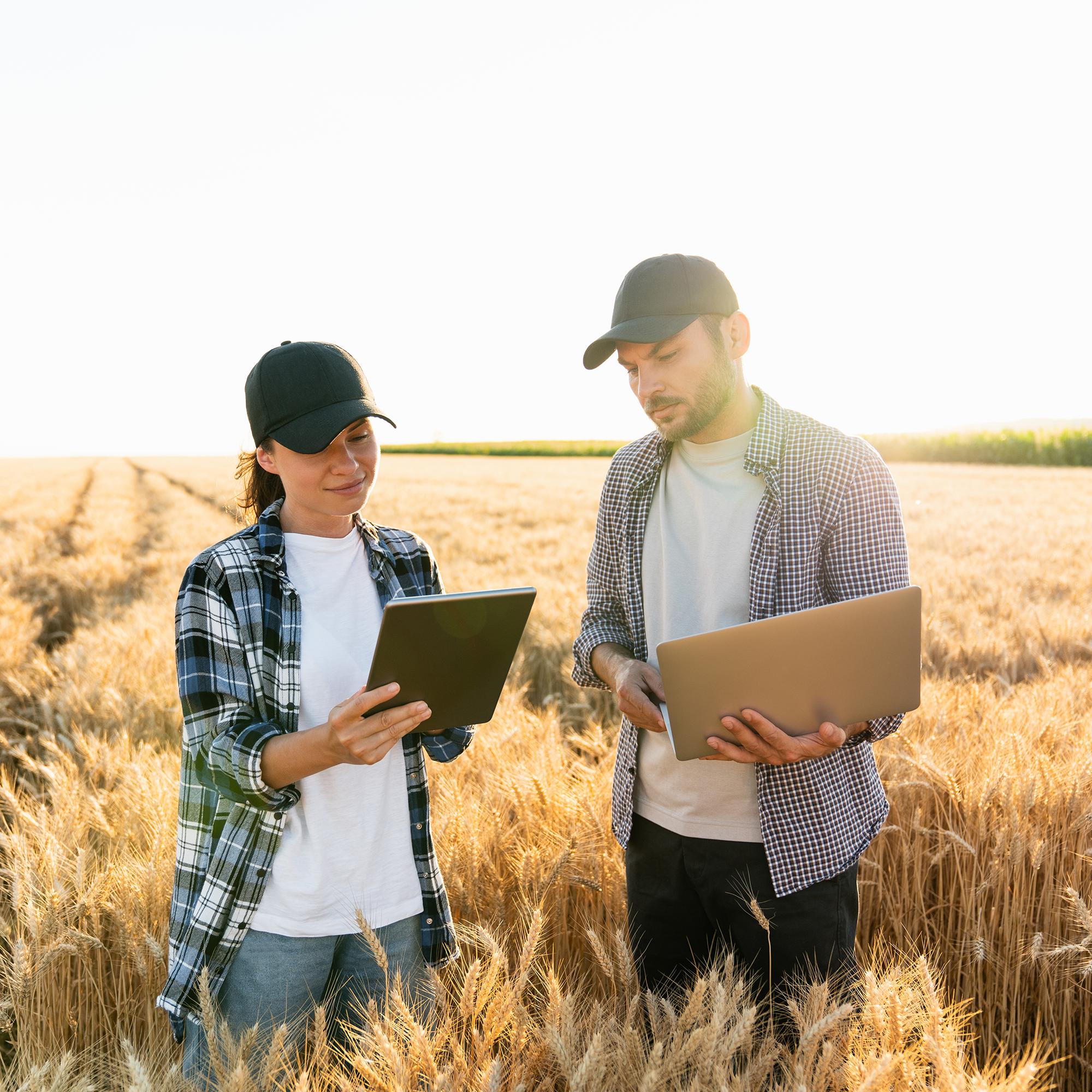 IPPC e-learning courses and guides