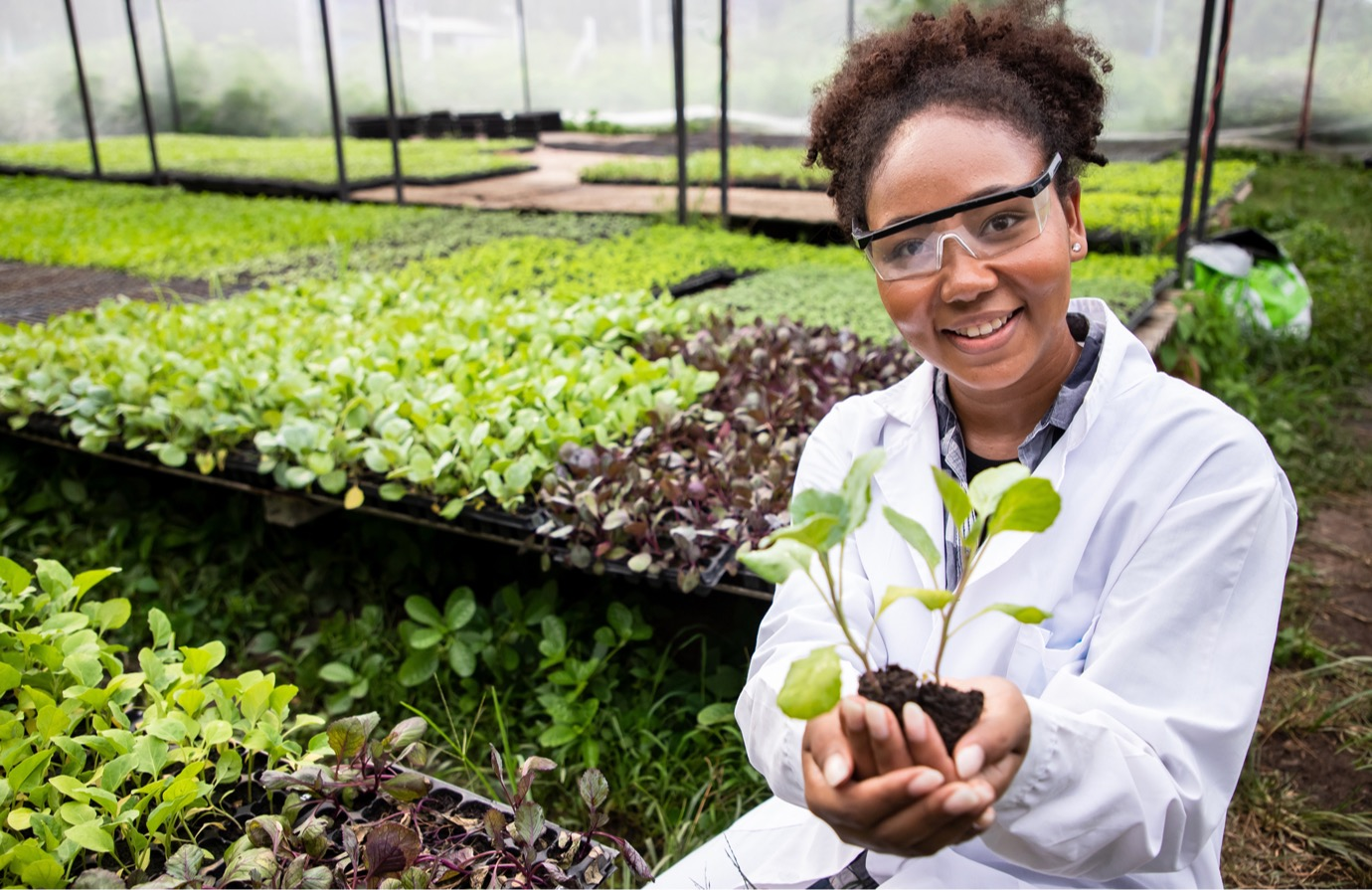 IPPC Secretariat. 2025. Working with a National Plant Protection Organization.