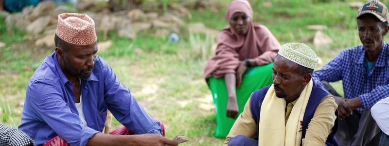 FAO Virtual Learning Centers. 2025. Evaluating the value of One Health.