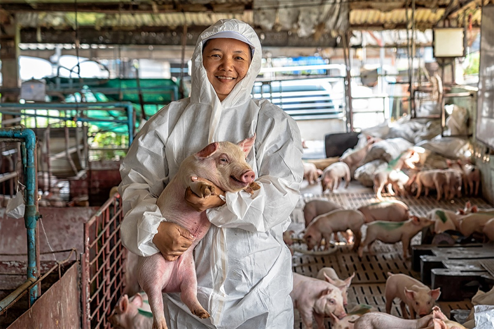FAO. 2022. Understanding antimicrobial resistance in food and agriculture.
