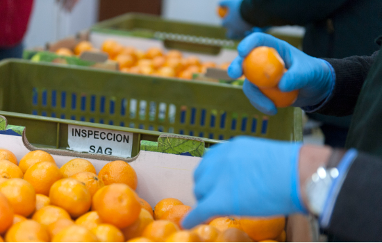 COLEAD. Phytosanitary Inspection.