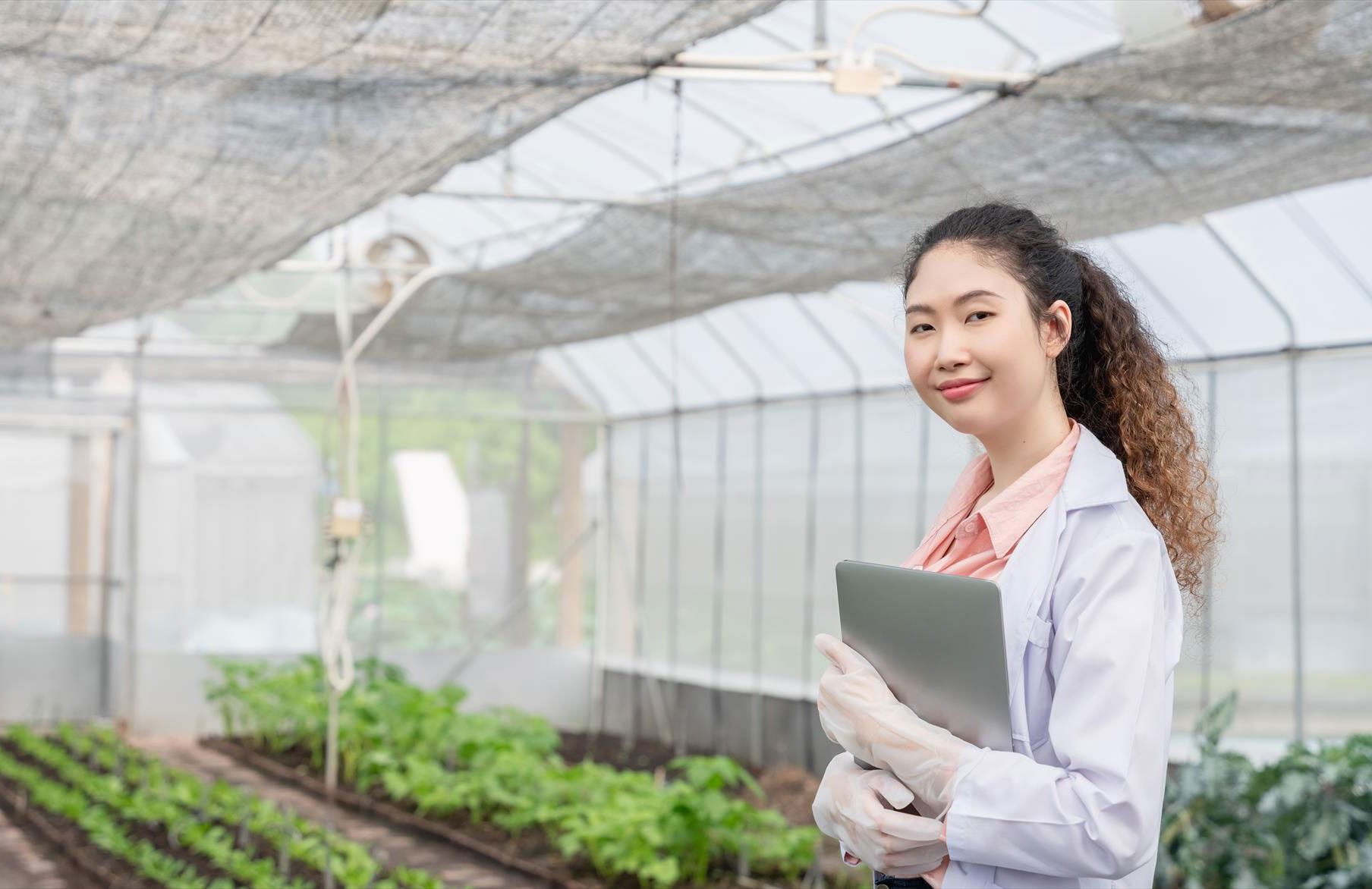 IPPC. 2024. Surveillance and pest status determination
