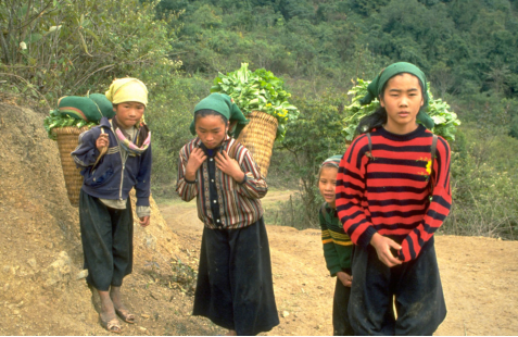 Incorporación de la cuestión del trabajo infantil en las políticas y estrategias