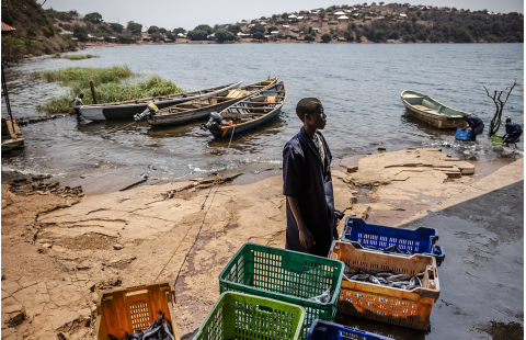 Governance in small-scale fisheries  
