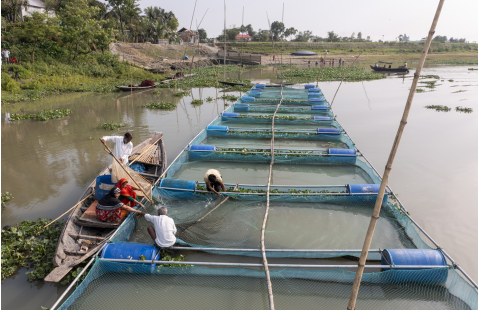 Pathway to aquaculture biosecurity: managing disease risks in the value chain