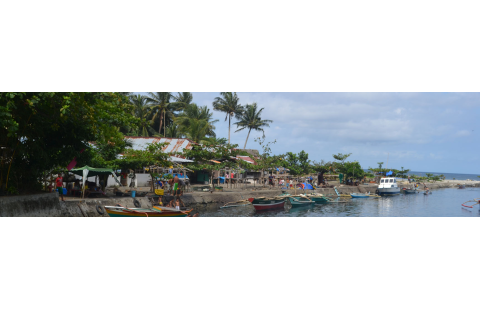 E-learning series: Ecosystem Approach to Fisheries