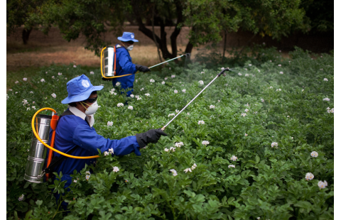 E-learning series: Responsible use of pesticides