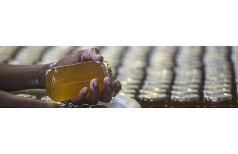 E-learning series: Small and Medium Enterprises and Nutrition