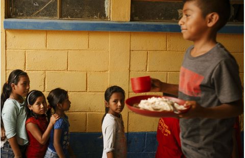 Liens entre la sécurité alimentaire, la nutrition et la protection sociale : Une introduction aux concepts et principes clés 