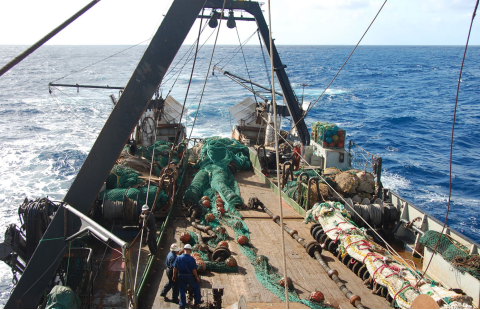 Strengthening deep-sea fisheries management in areas beyond national jurisdiction 