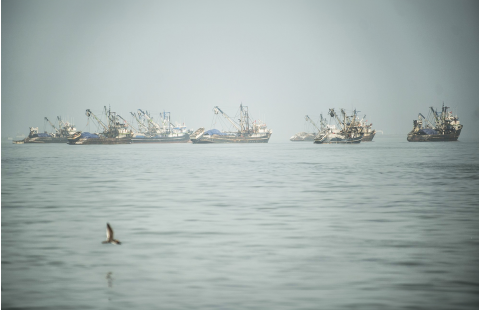 Agreement on Port State Measures and the framework to fight illegal, unreported and unregulated fishing 