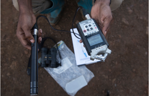 Garantía de calidad y control de calidad en un inventario forestal nacional 