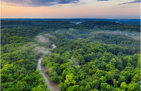 ¿Por qué un inventario forestal nacional (IFN)?