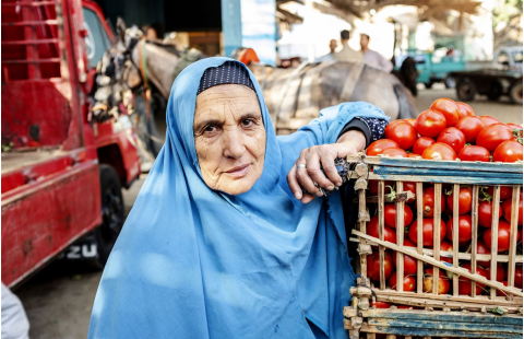 السياسة التجارية الداعمة للأمن الغذائي والتغذية