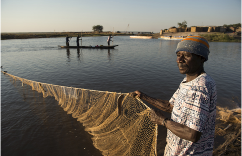 Approche écosystémique des pêches - Politique et mise en œuvre juridique