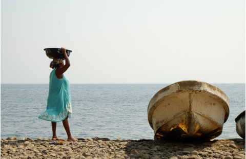 Approche écosystémique des pêches - Outil de suivi de la mise en œuvre