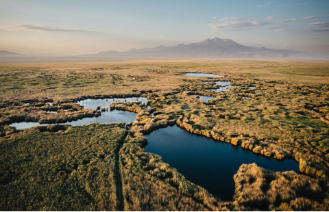 Wetlands and agriculture: pathways to sustainability 