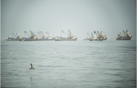 Accord relatif aux mesures du ressort de l'État du port et le cadre pour lutter contre la pêche illicite, non déclarée et non réglementée