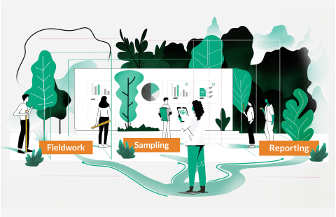 National forest inventory - Learning journey