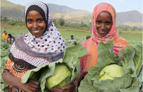 L'agroécologie pour l'Afrique 
