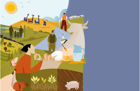 Assessment of ecosystem services in livestock agroecosystems 