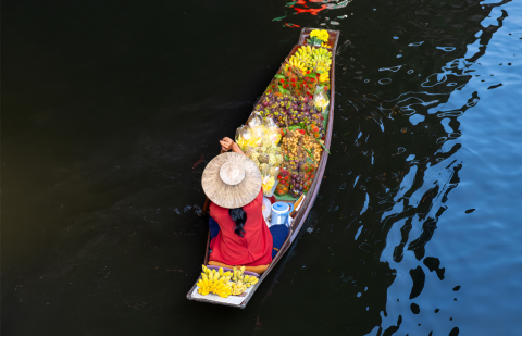 Trade and nutrition: Policy coherence for healthy diets