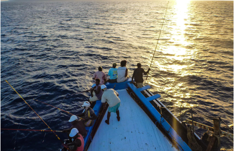 Management procedures for sustainable tuna international fisheries - Management strategy evaluation