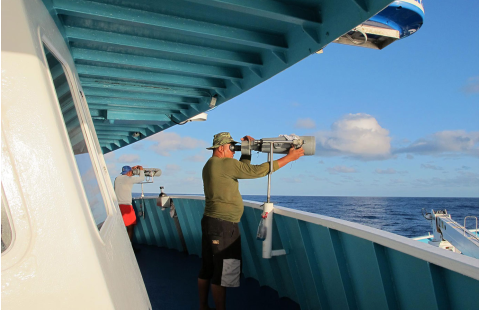 Management procedures for sustainable tuna international fisheries - Lessons learned