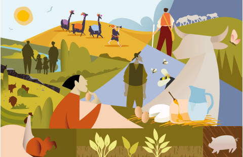 Assessment of ecosystem services in livestock agroecosystems 