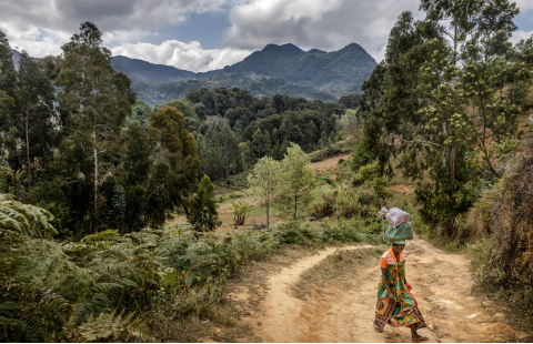 Introduction to forest management planning