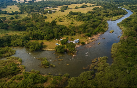 Resilient rivers: Watershed-based management of forests, freshwater, and inland fisheries 