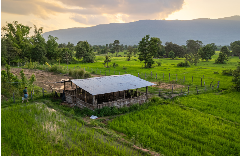 Biodiversity and agrifood systems - Introduction