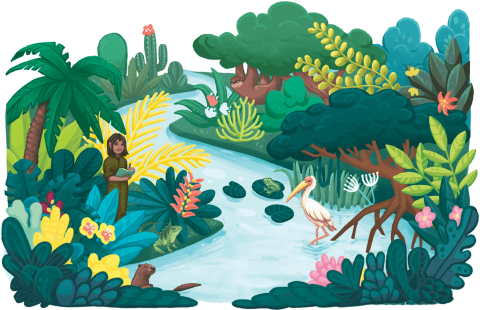 Global Forest Resources Assessment 2025