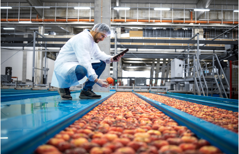 Получение доступа на рынок для растений и растительных продуктов 