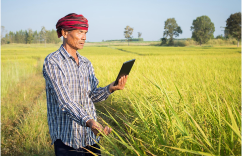 Introduction to documenting plant genetic resources for food and agriculture