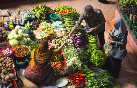 Costing and monetizing benefits for nutrition 