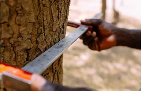 Uncertainty in estimating forest emissions: Introduction to Monte Carlo