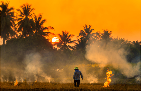 Basic integrated fire management tools for early warning and decision-making 